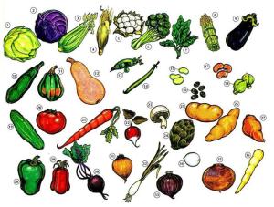 Vocabulary tentang Sayur Sayuran windypattricia